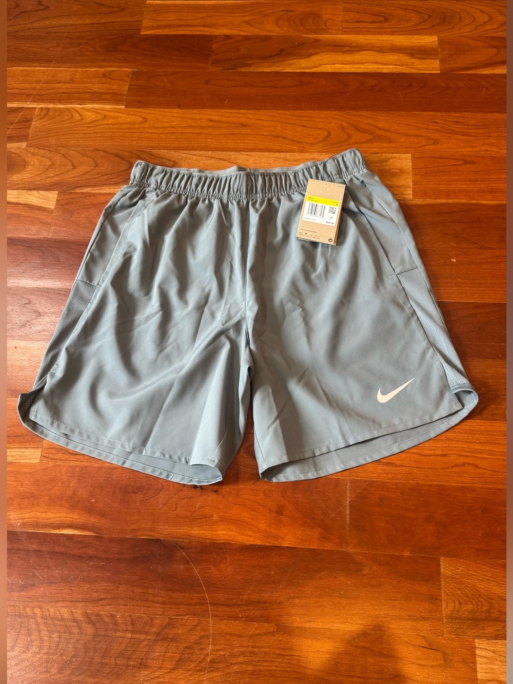 Nike Men’s Light Blue Performance Training Shorts